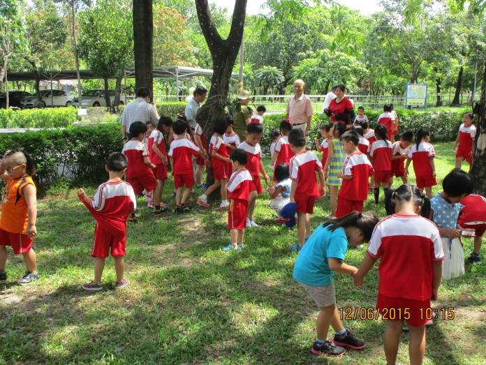 104年6月12日大老師幼兒園蒞家戶外植物認知教學