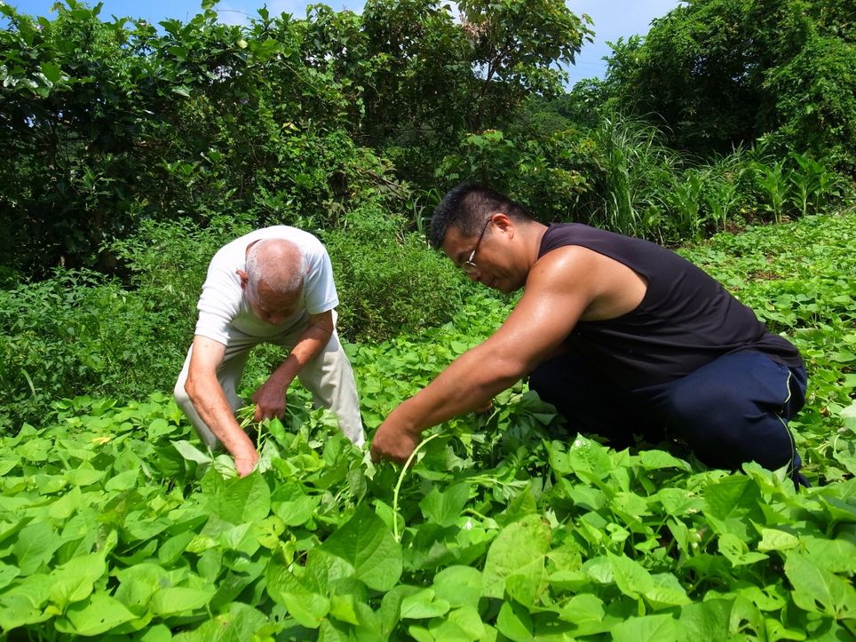 105年王金水伯伯101歲壽誕