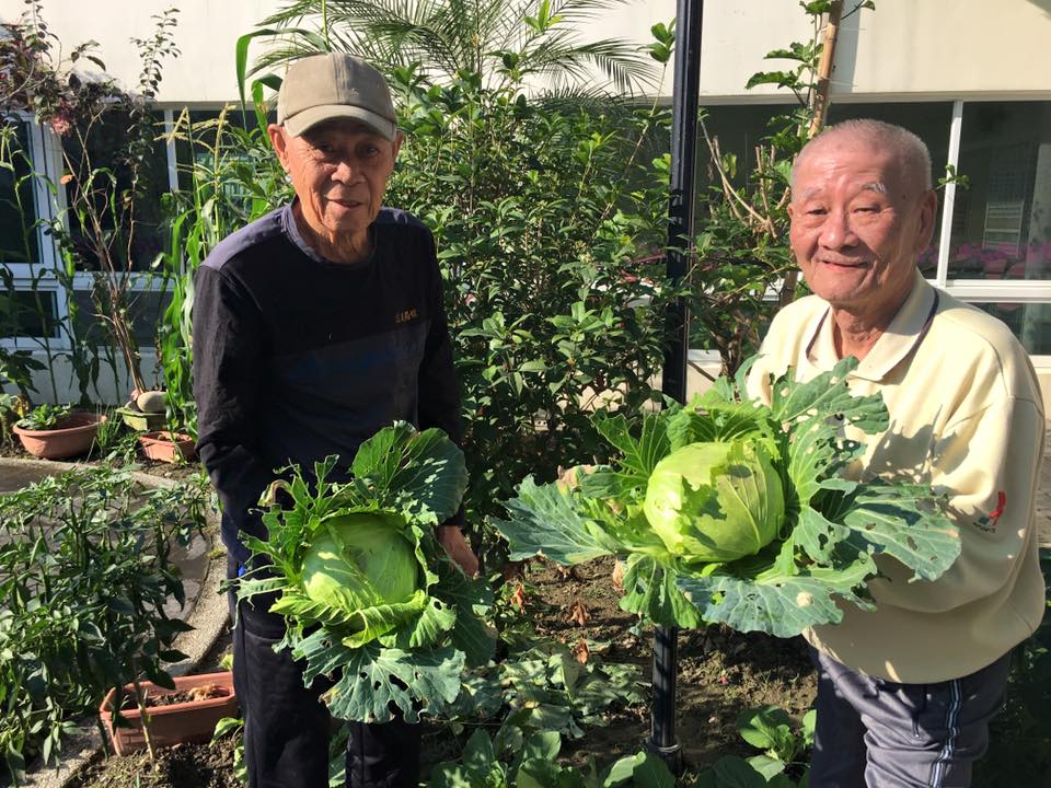 當年823英雄戰士化身頂呱呱農藝行家