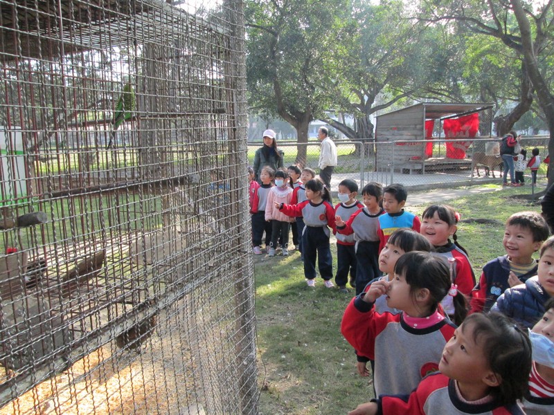 幼稚園小朋友參觀動物園