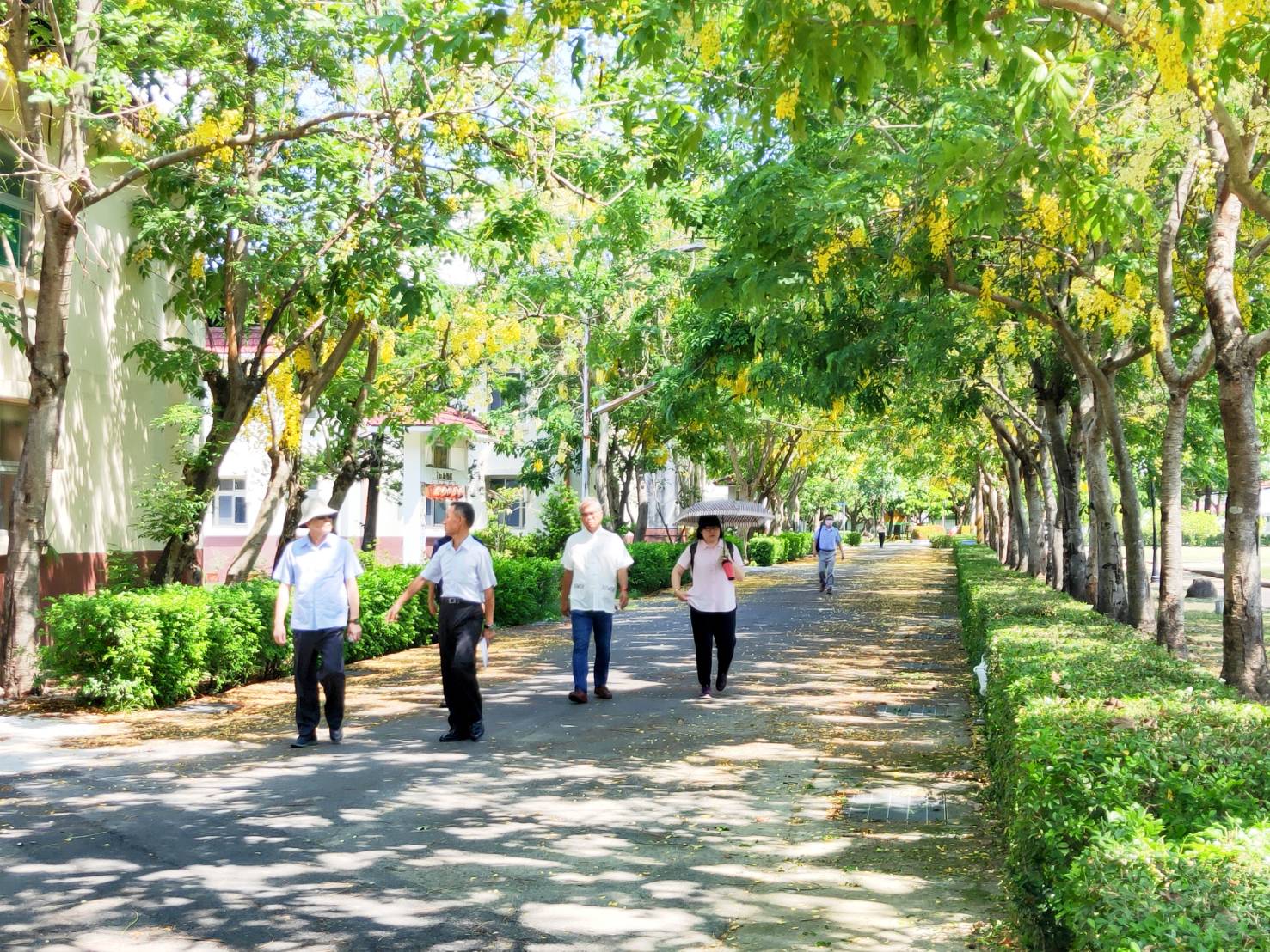 109年06月20日輔導會周副主委端節訪慰屏東榮家榮民長輩