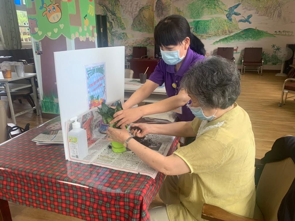 山青日照中心園藝療癒活動-綠色植栽虎皮蘭