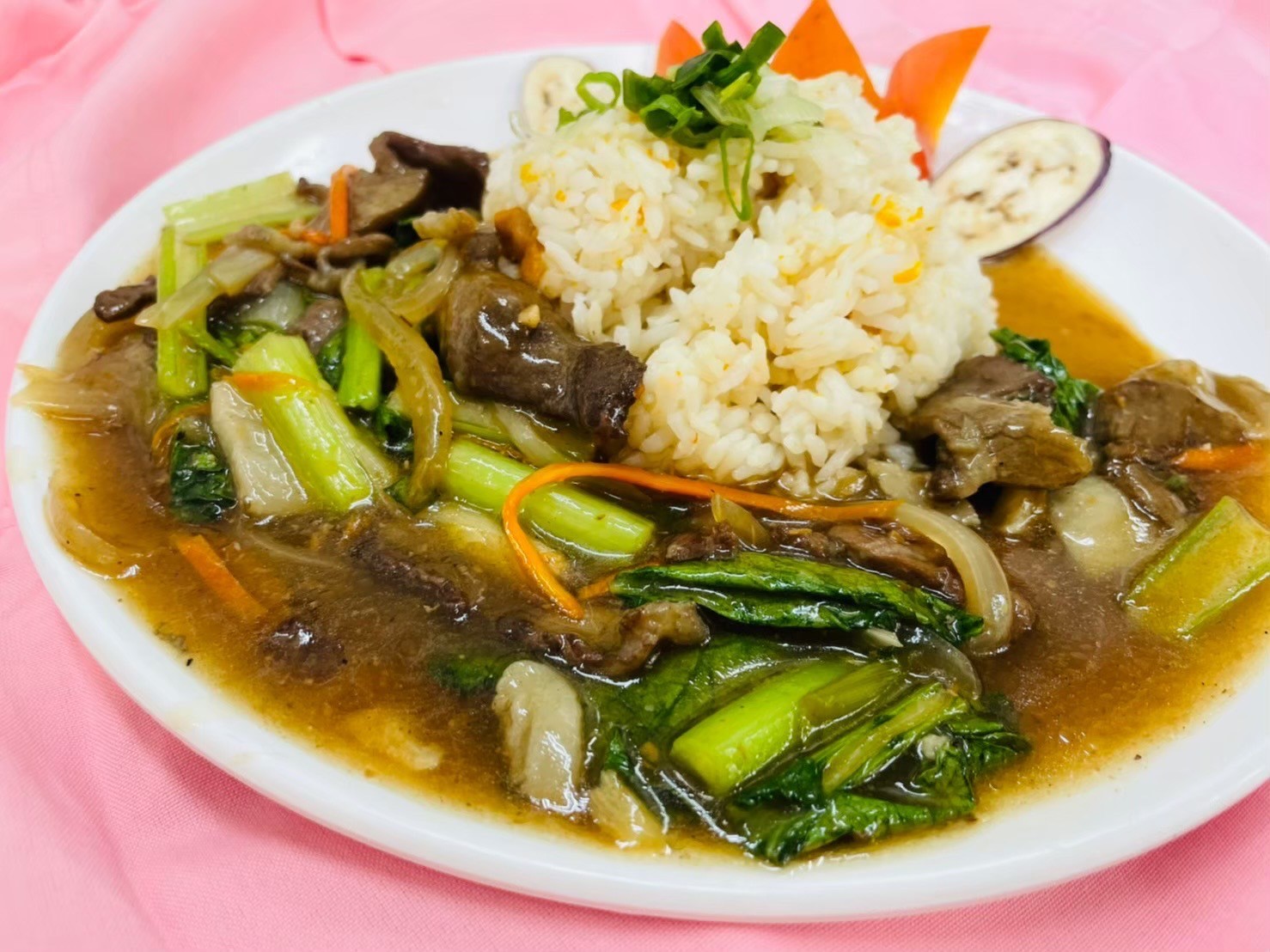 相關照片-屏東榮家特色快樂餐-牛肉燴飯