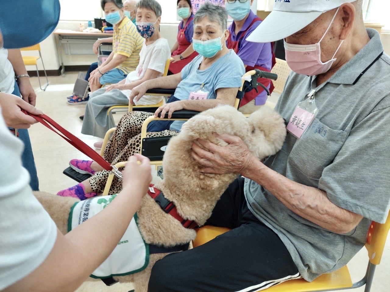 「犬」心全憶！岡山榮家導入動物輔助治療