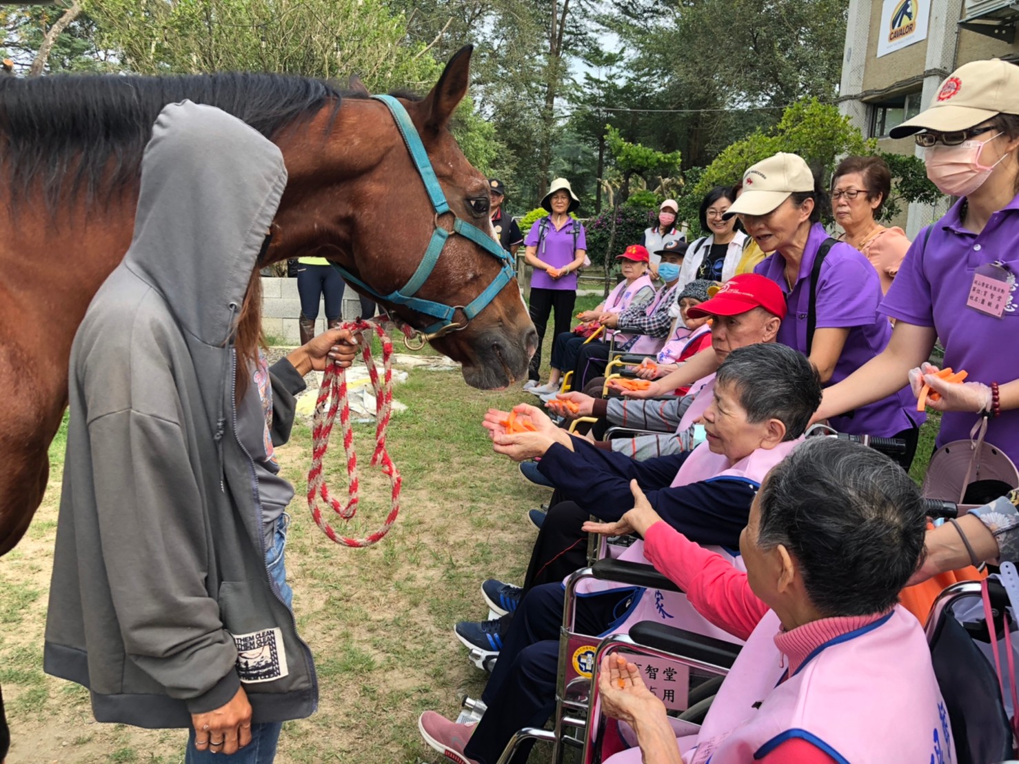 岡山榮家忘我園區住民策馬奔騰-高雄橋頭馬術中心體驗之旅