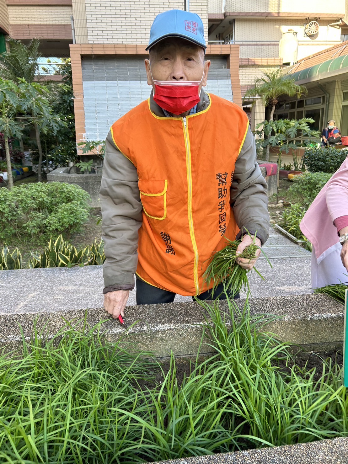 桃園榮家韭感心，失智農產市集開賣囉