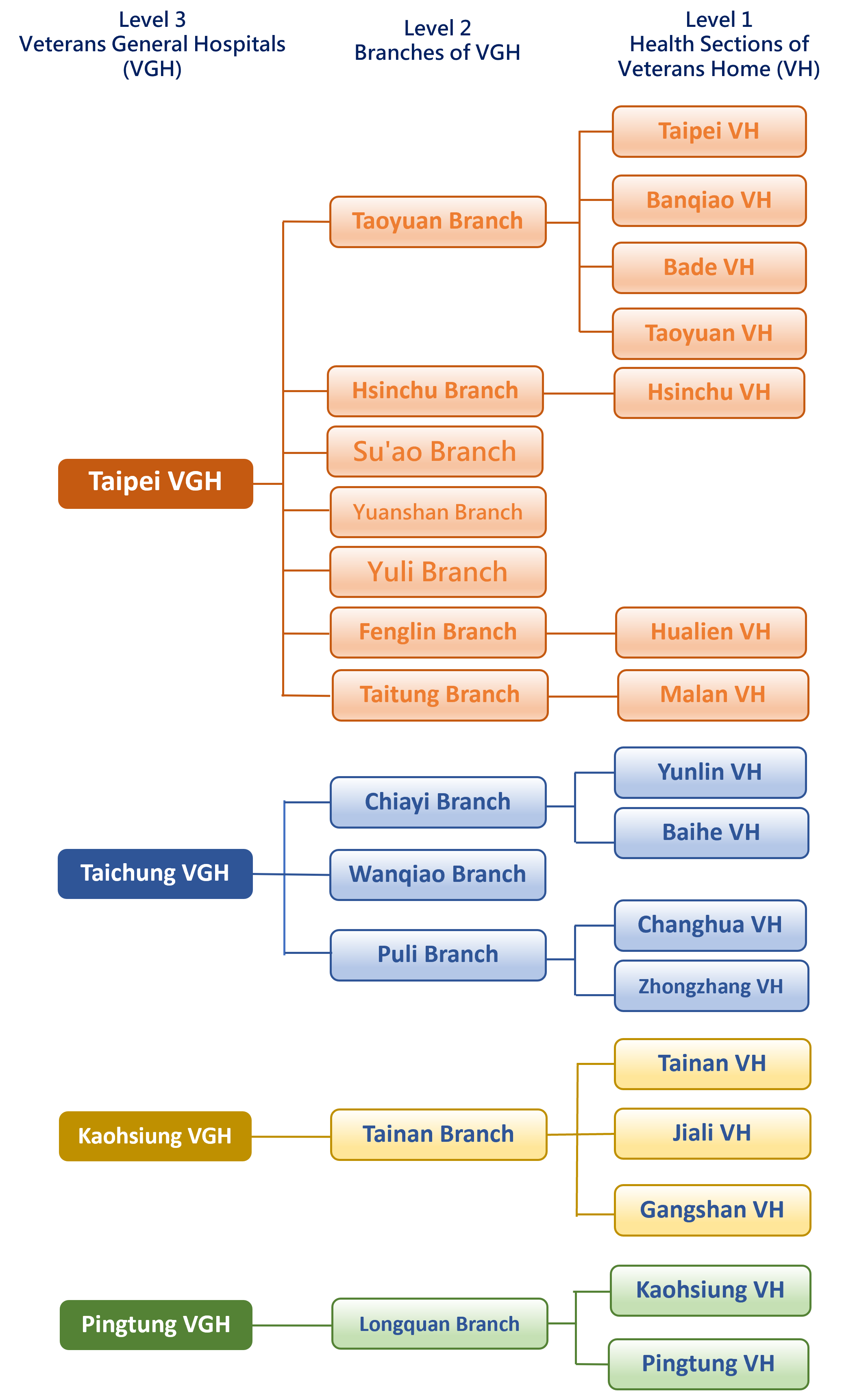 Medical Service Network of Veterans Medical System