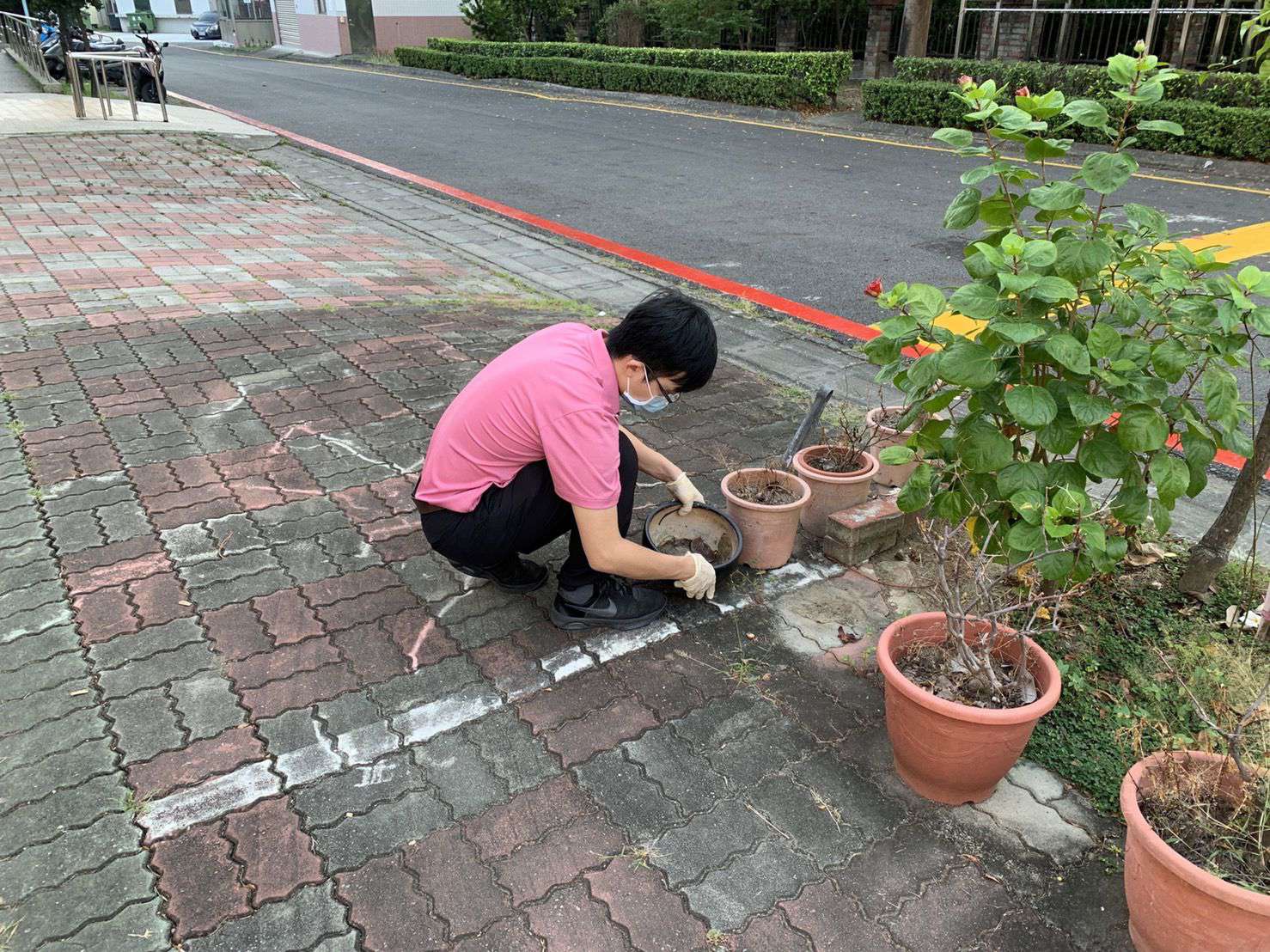 滅病媒蚊 讓登革熱OUT