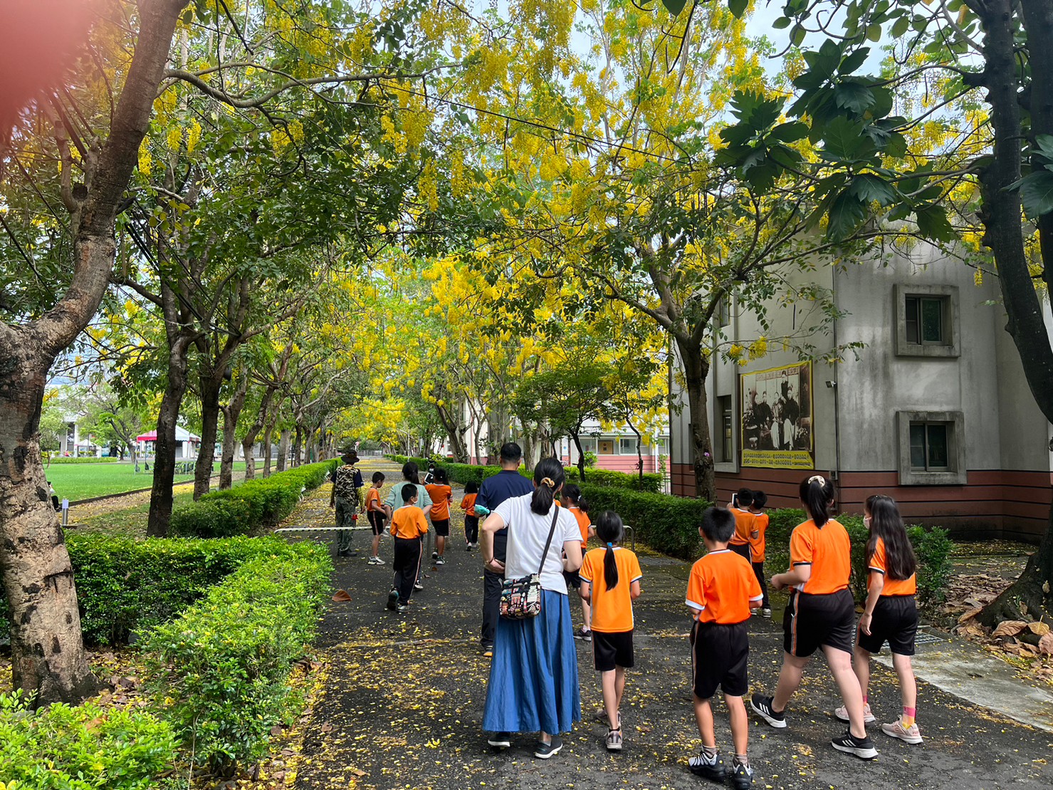 112年05月23日屏東榮家黃金雨隧道開始囉，崇文國小學生蒞家校外教學賞花