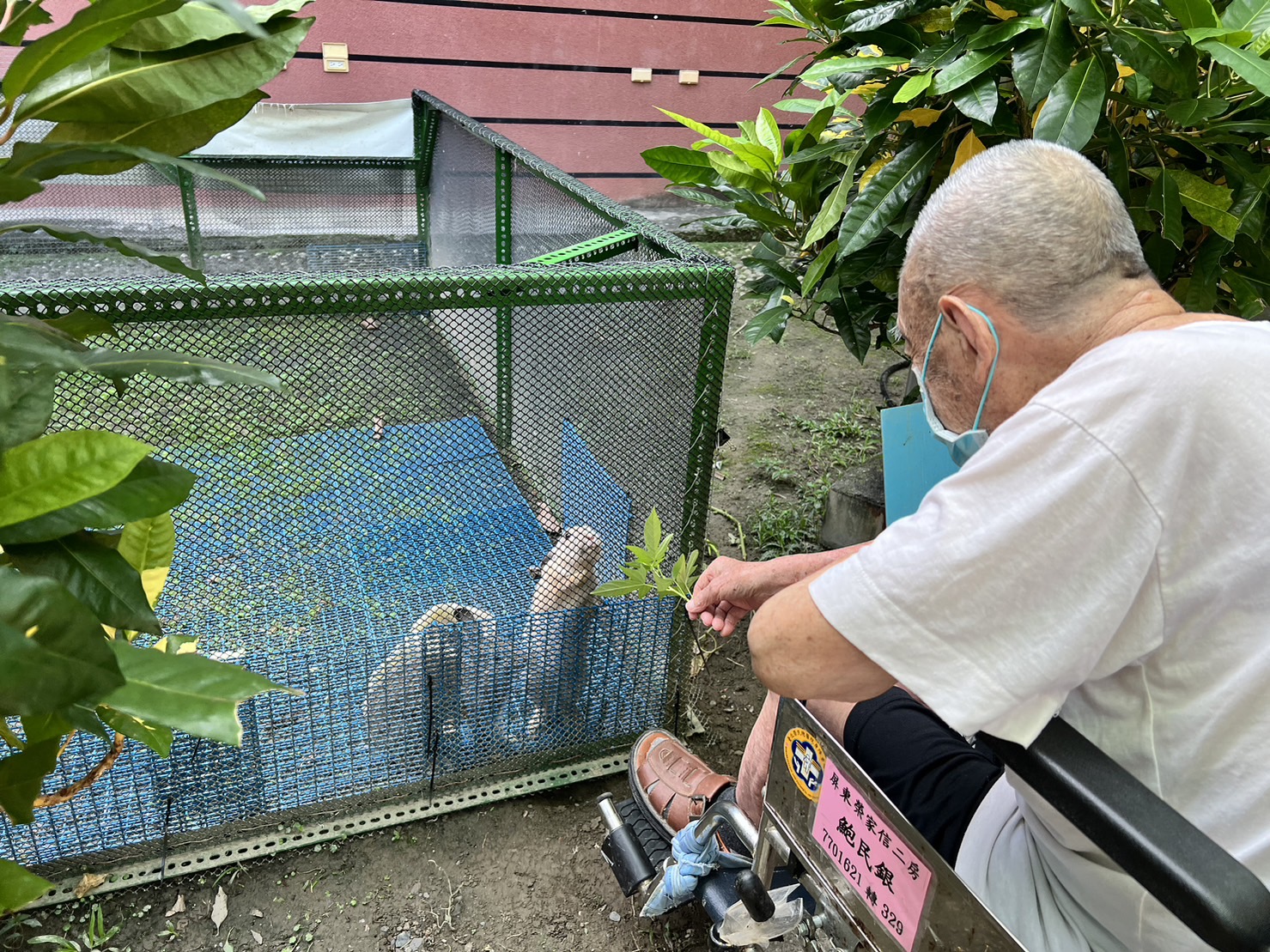 112年10月19日屏東榮家寵物陪伴療育了長輩的童心