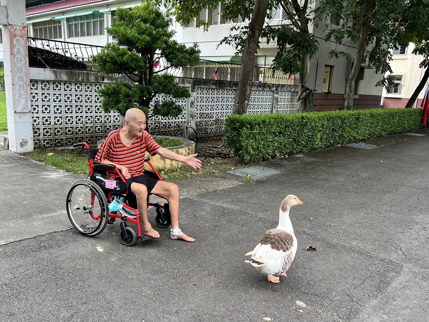 112年10月20日屏東榮家寵物陪伴療癒了長輩的童心