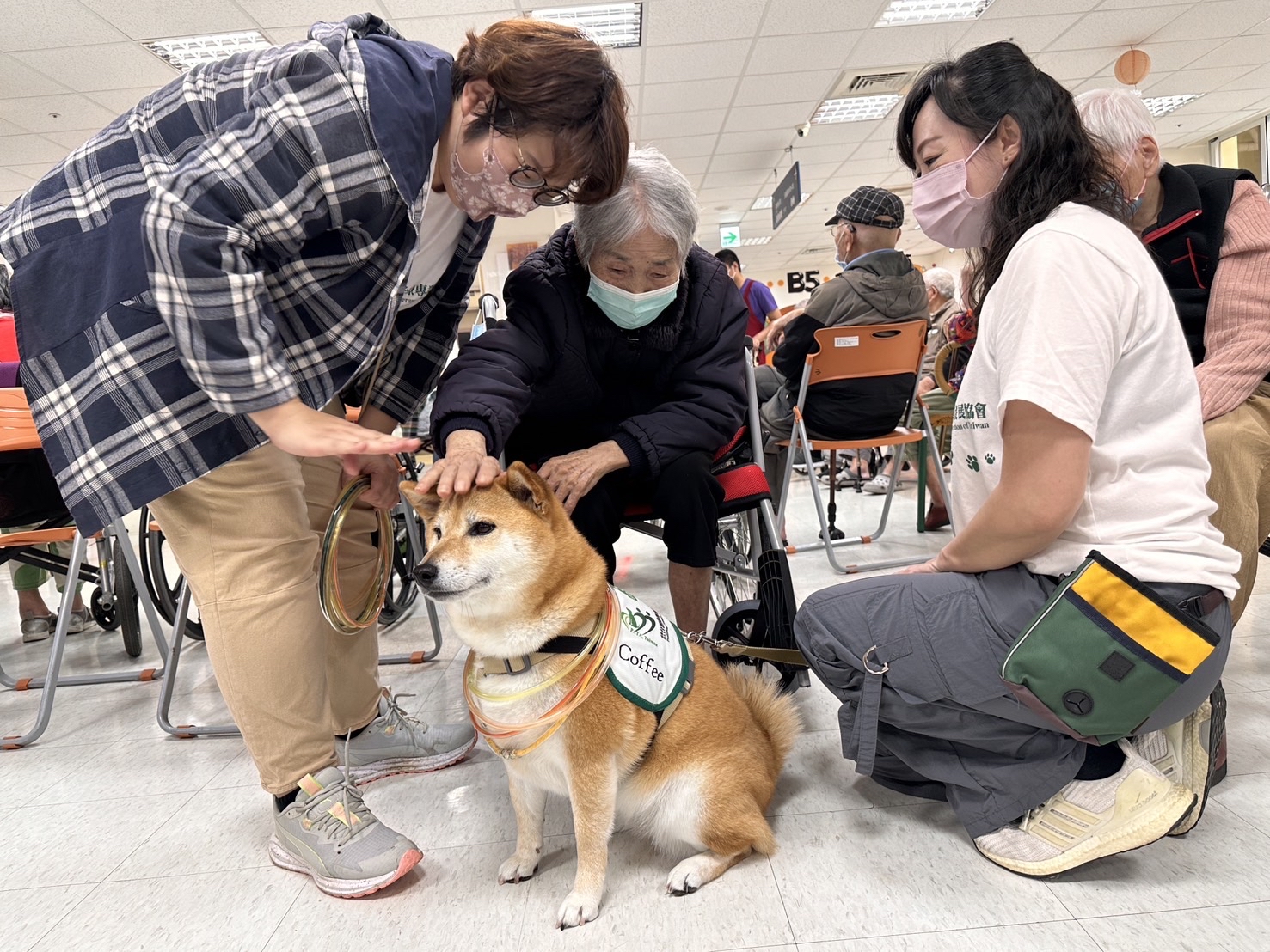 113年3月14日治療犬體驗活動