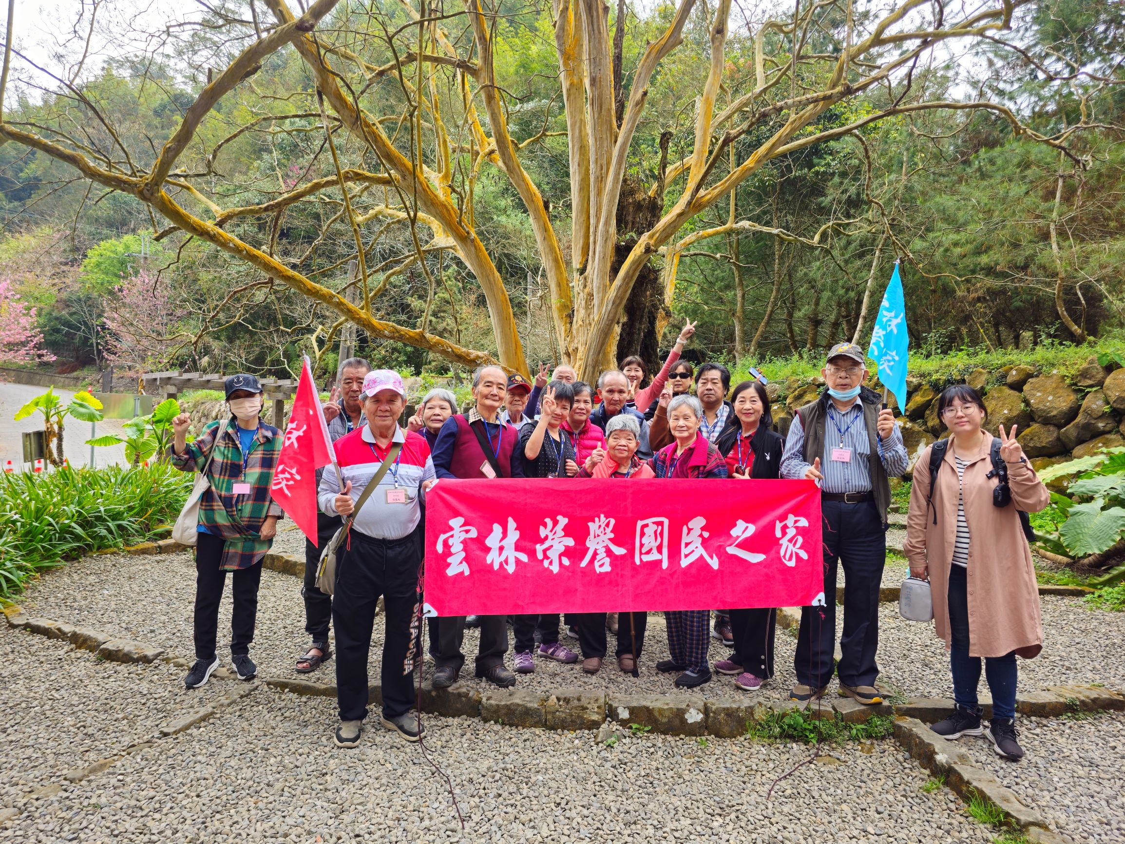 113年3月6日草嶺浪漫櫻花之旅