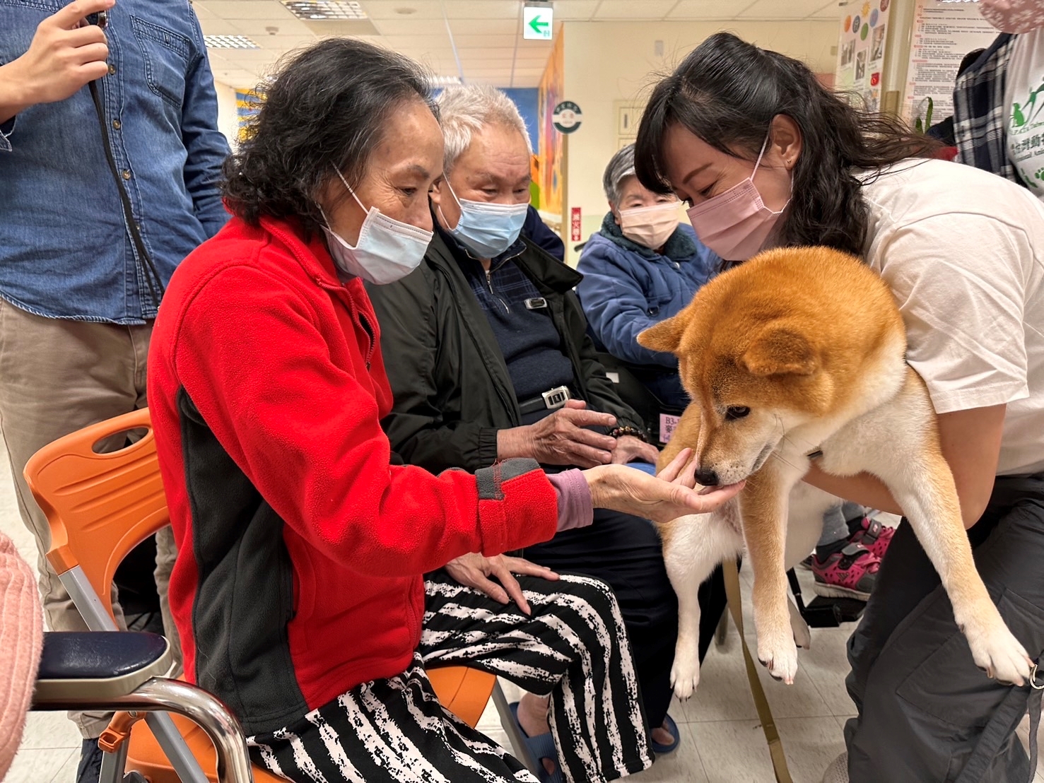 113年3月14日治療犬體驗活動