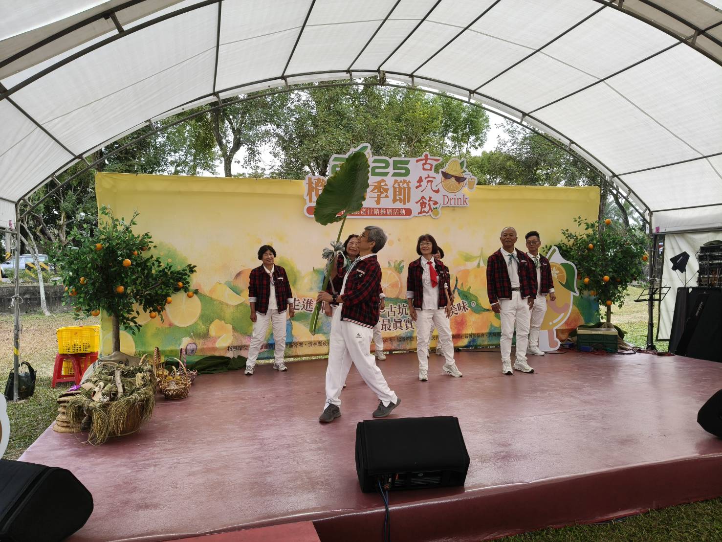 雲林縣榮服處榮欣志工表演團隊柳丁節精彩演出展現服務熱情-2