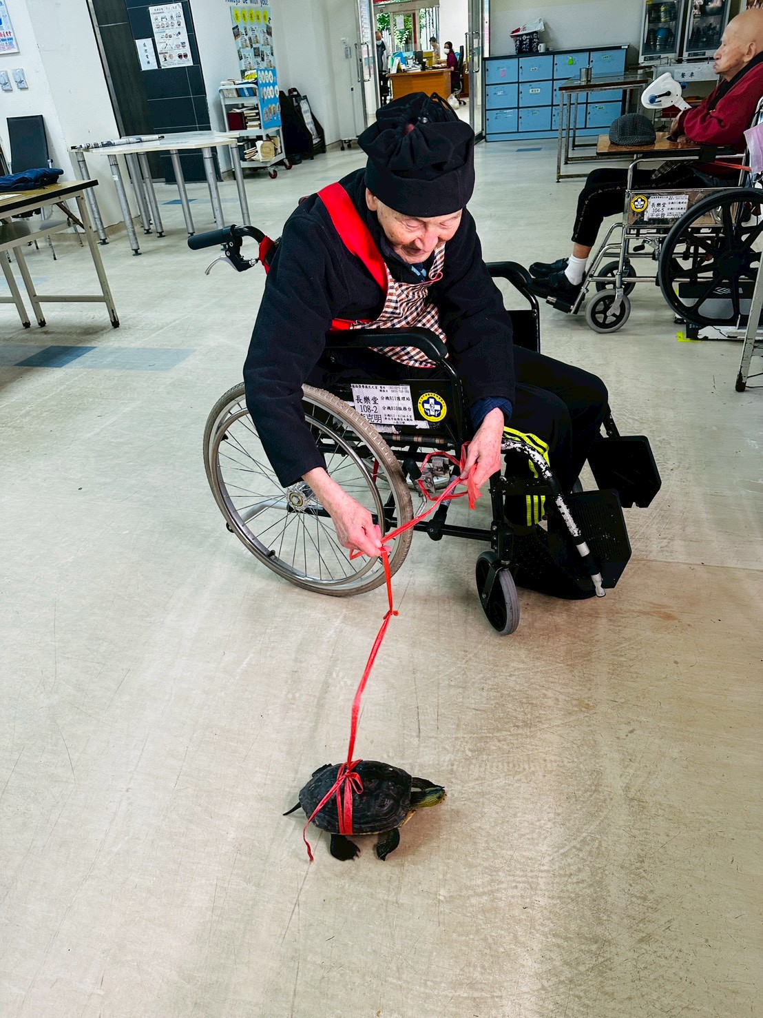 1141112照片4-住民遛烏龜「小黃瓜」在大廳散步