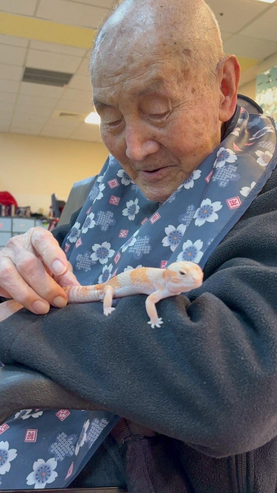 1141112照片2-住民輕撫守宮「橘子」細膩的皮膚