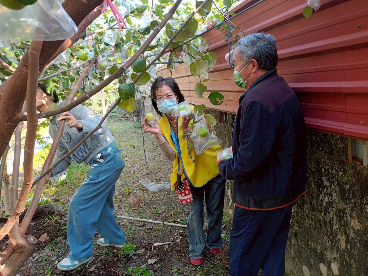 志工開心展示剛採摘的翠綠芭樂,與長輩共享田園豐收的喜悅。