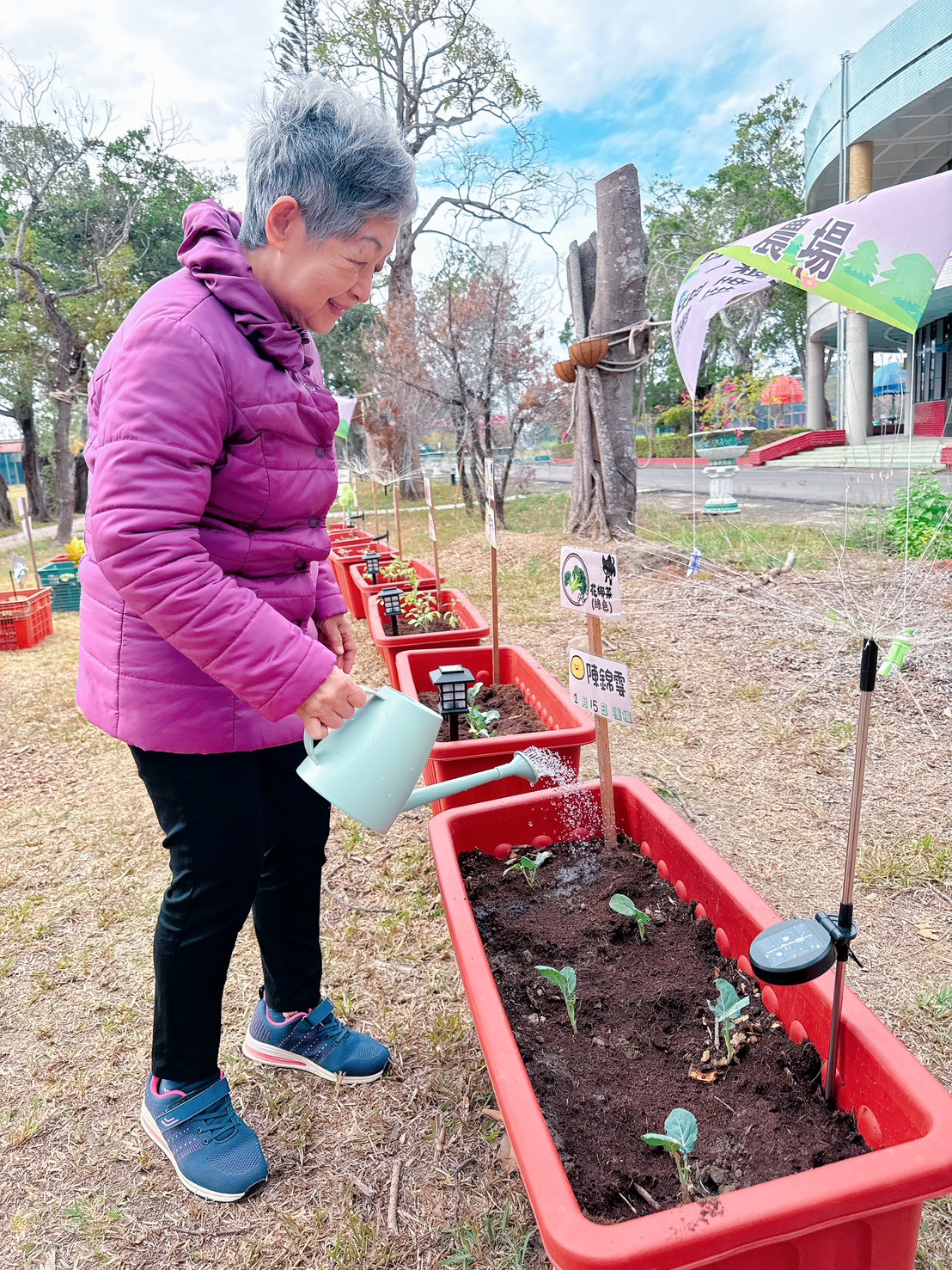 06我要每天來看你（花椰菜）