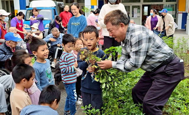 花蓮榮家老幼同採花生 共度暖心農趣時光