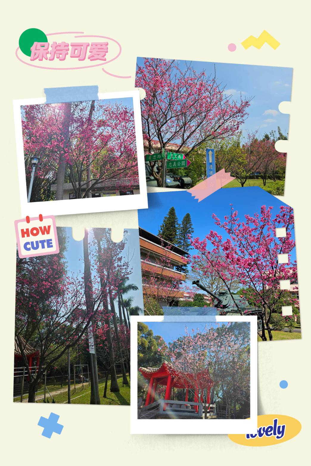 🌸🌸 春暖花開迎馬年 🌸🌸