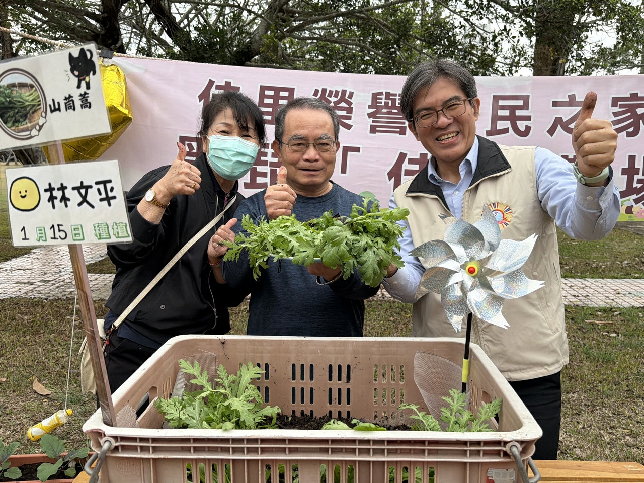 03山茼蒿大豐收