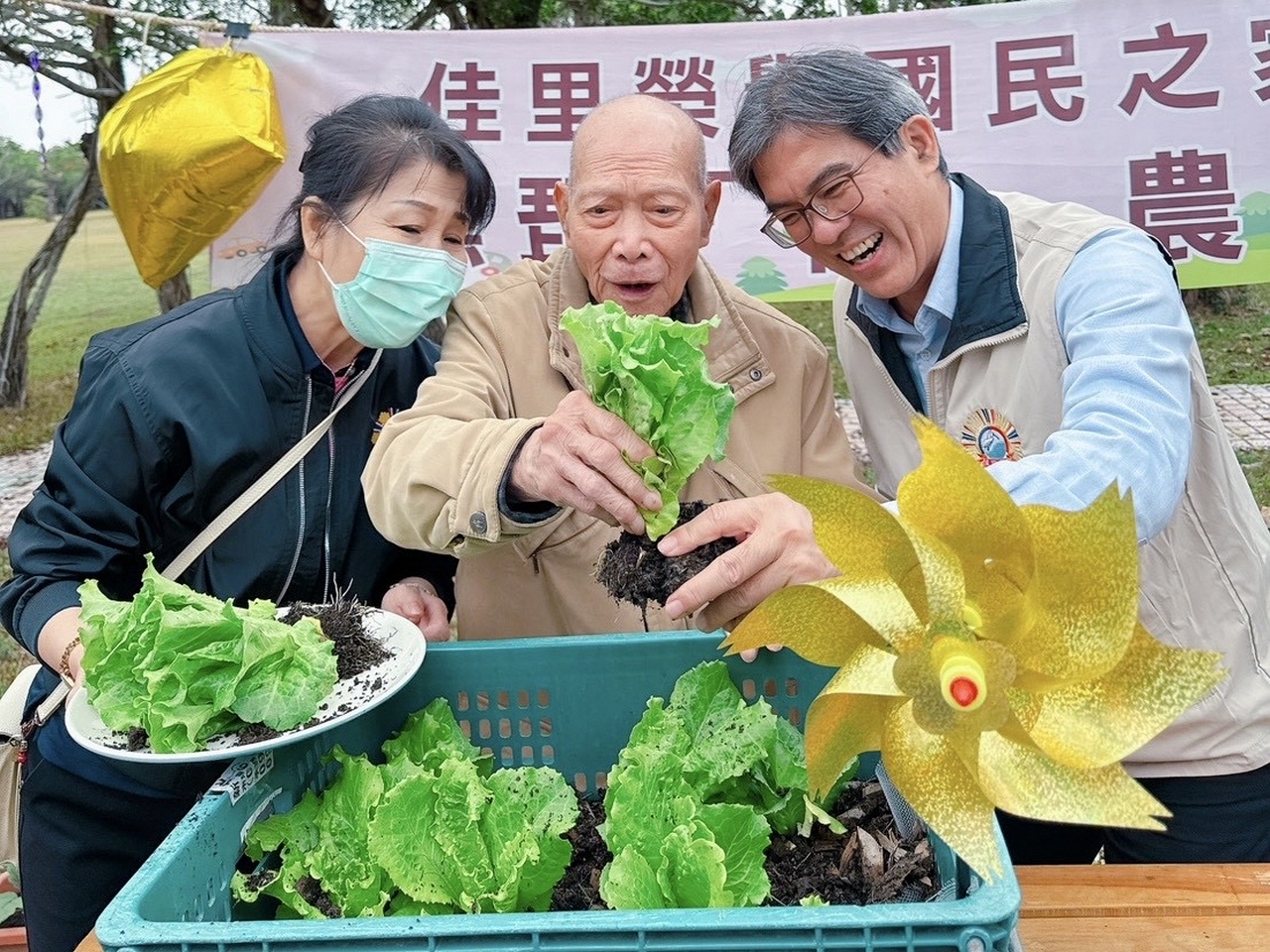 02青菜大豐收