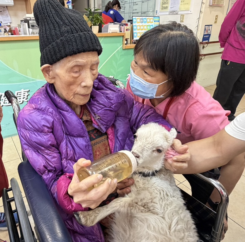 115年4月29日駿馬吉羊療育長輩新竹榮家導入動物互動添溫情