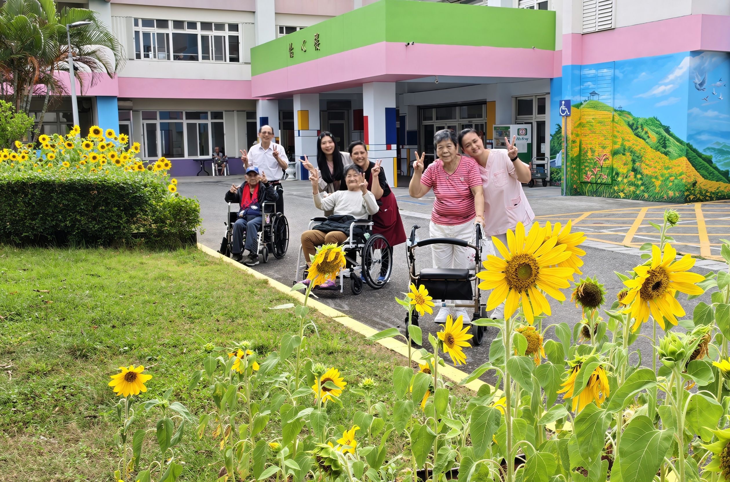 向日葵開滿花蓮榮家 長輩與幼兒攜手共賞金黃花海