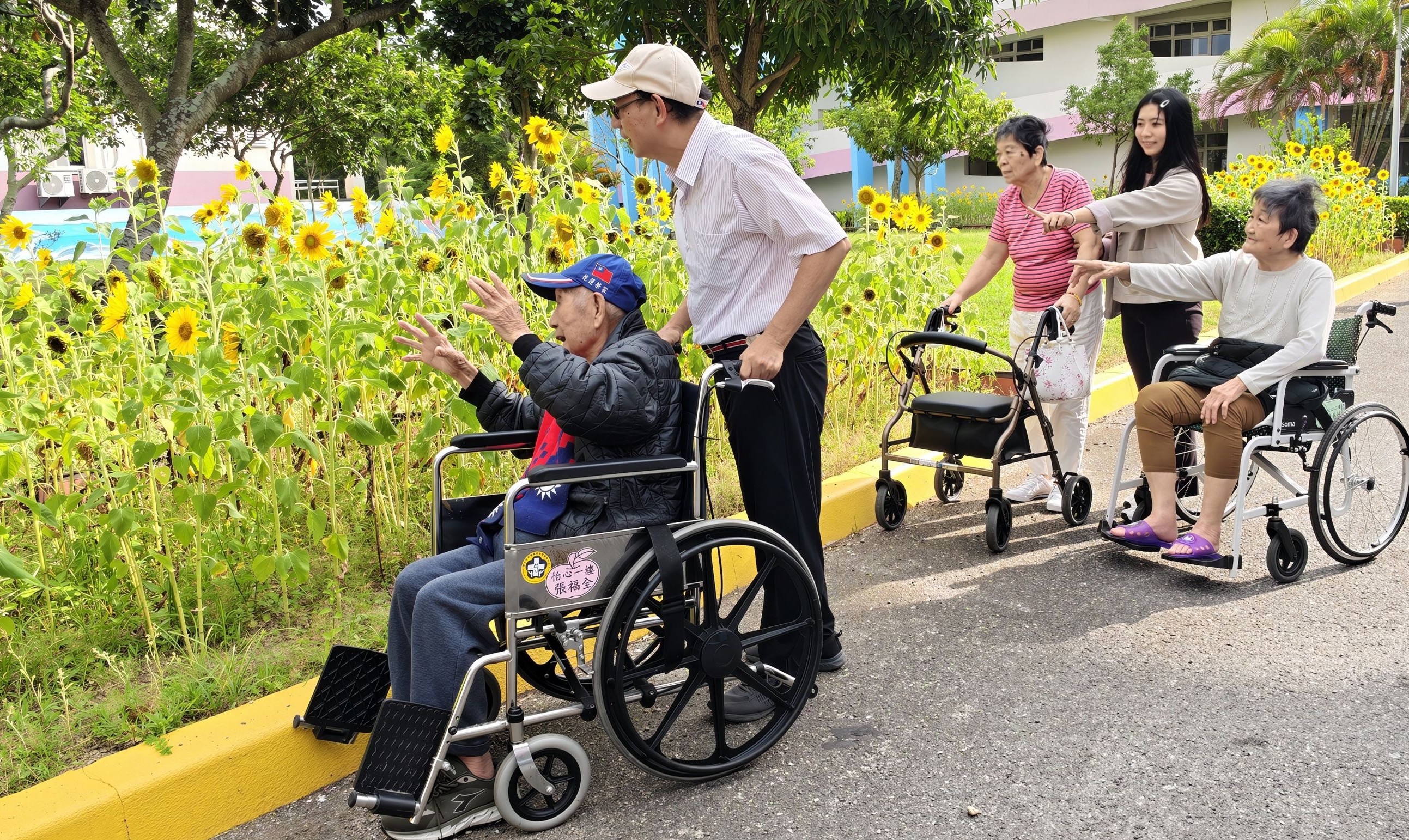 🌻向日葵開滿花蓮榮家 長輩與幼兒攜手共賞金黃花海🌻