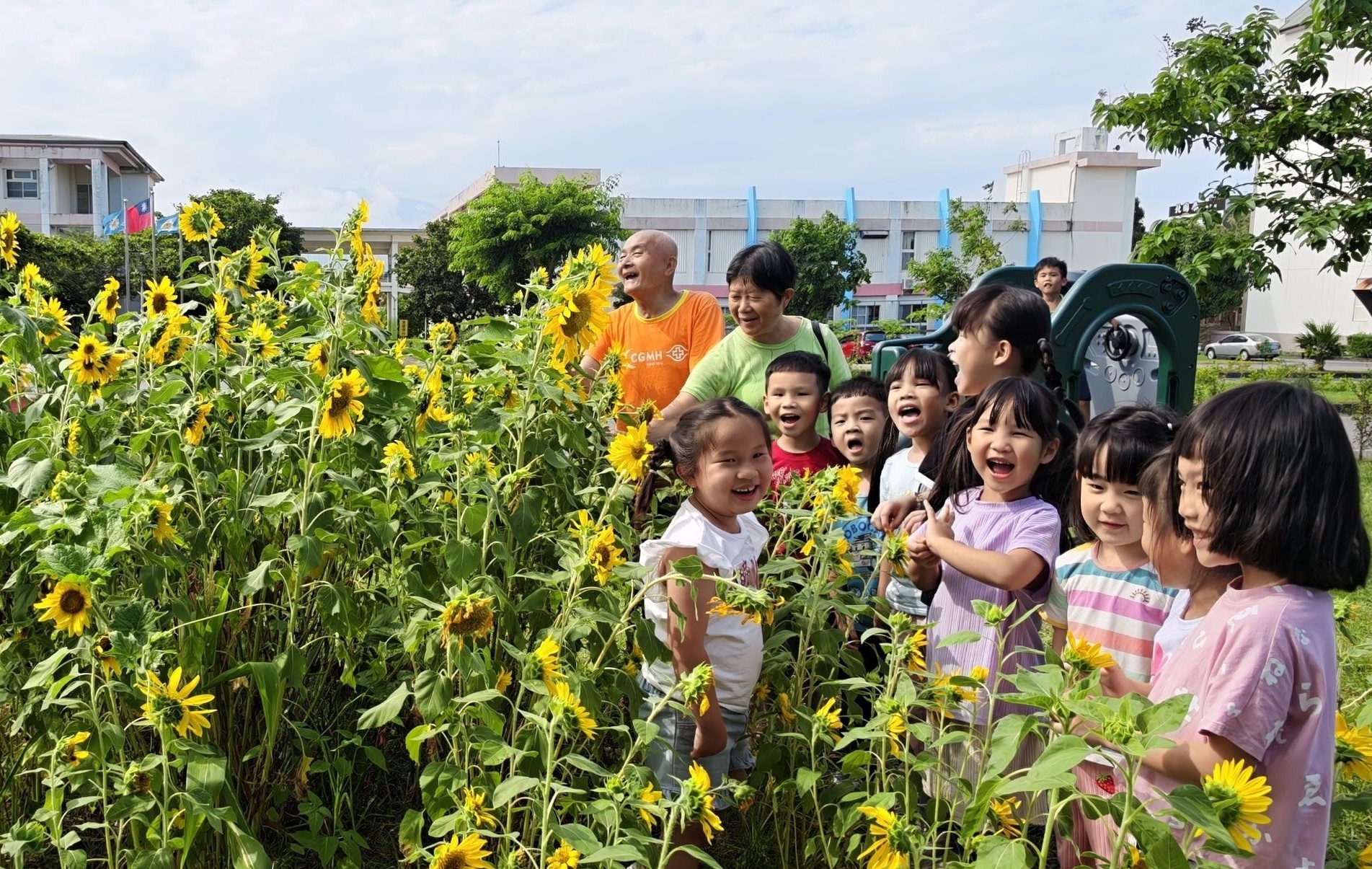 🌻向日葵開滿花蓮榮家 長輩與幼兒攜手共賞金黃花海🌻