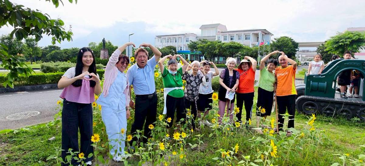 花蓮榮家向日葵盛開 長輩與幼兒攜手共賞金黃花海