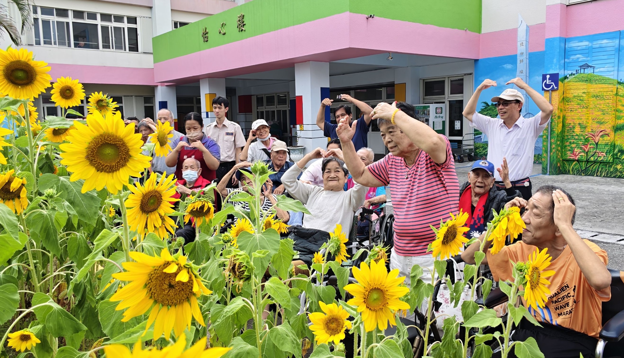 🌻向日葵開滿花蓮榮家 長輩與幼兒攜手共賞金黃花海🌻