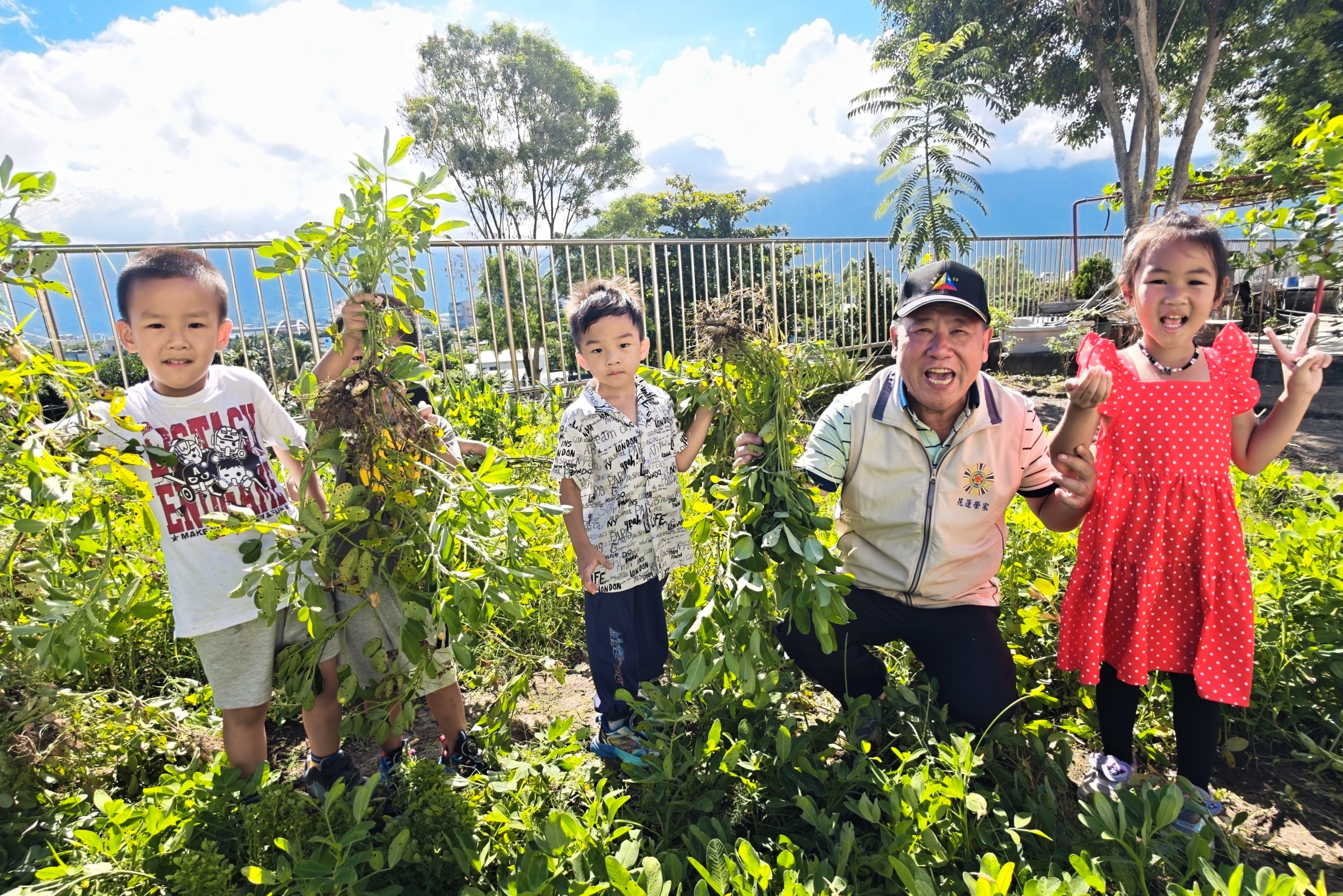 花蓮榮家大手牽小手採花生 老幼共享田園豐收喜悅