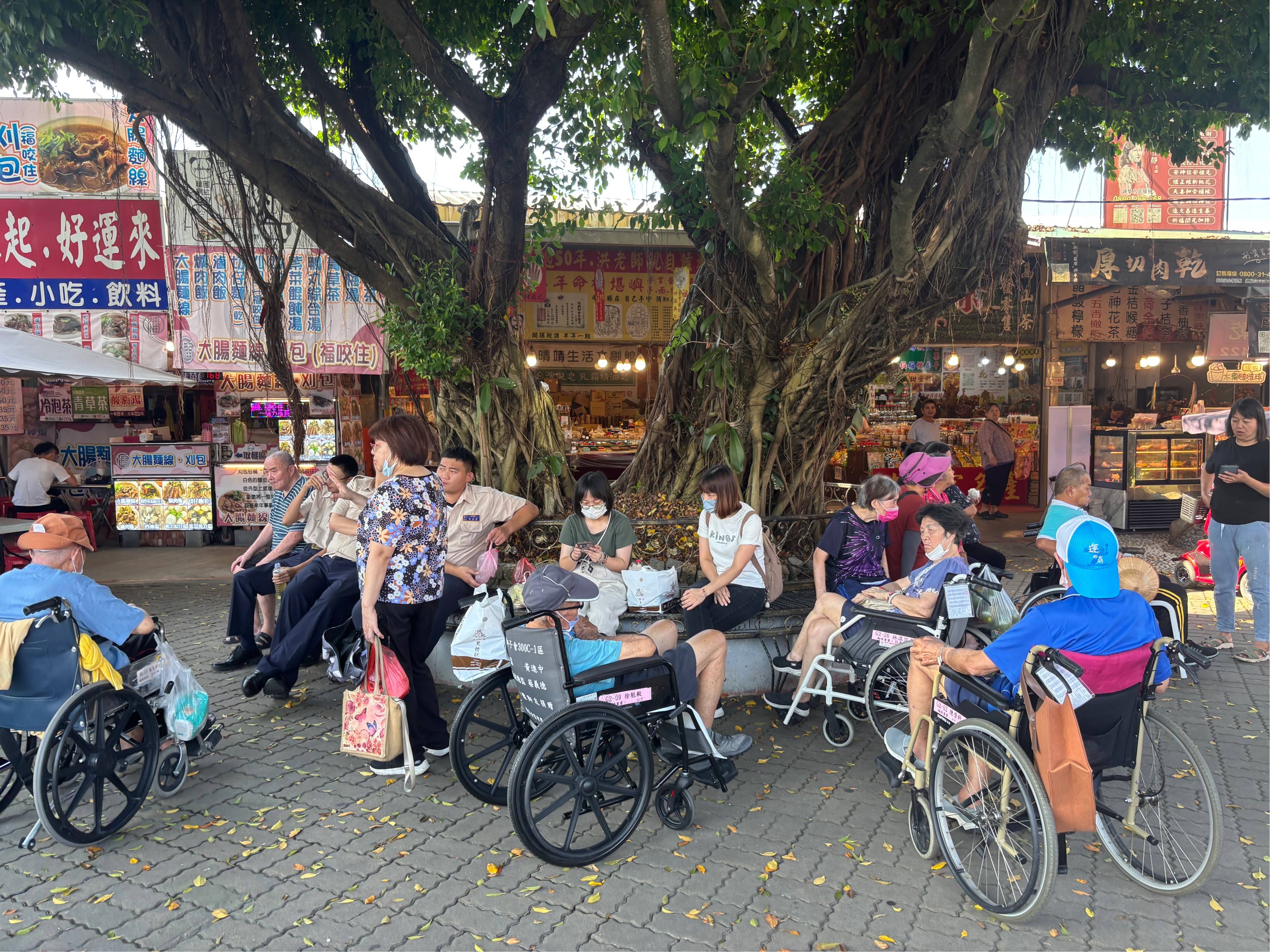 大家一齊坐在大樹下乘涼