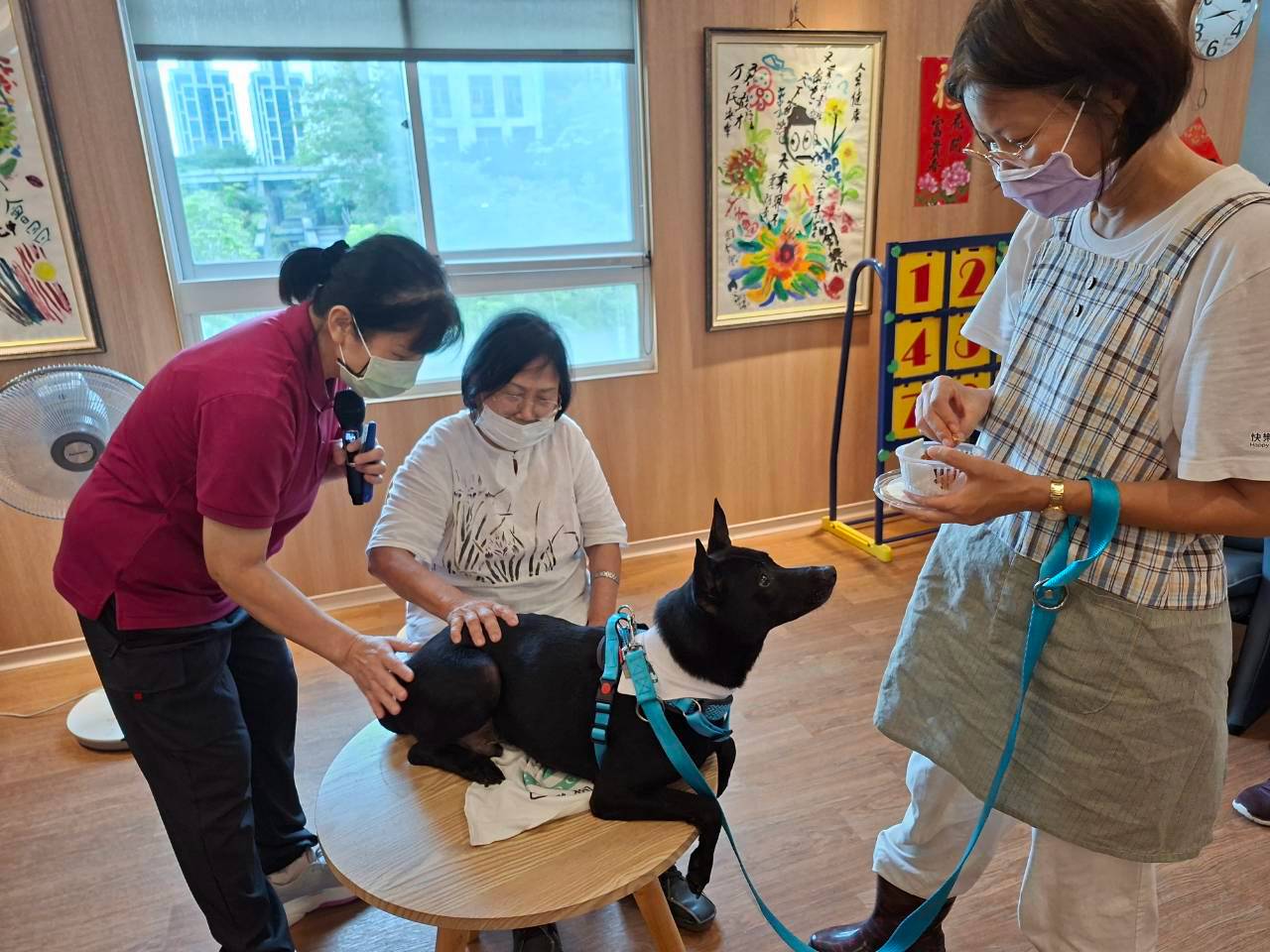 狗醫師