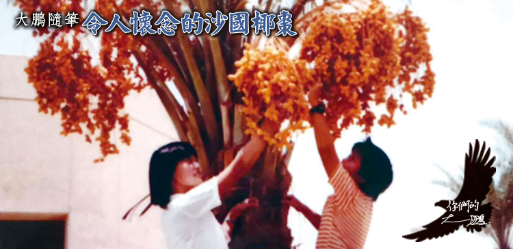 榮光雙周刊_112.03.01(另開新視窗)